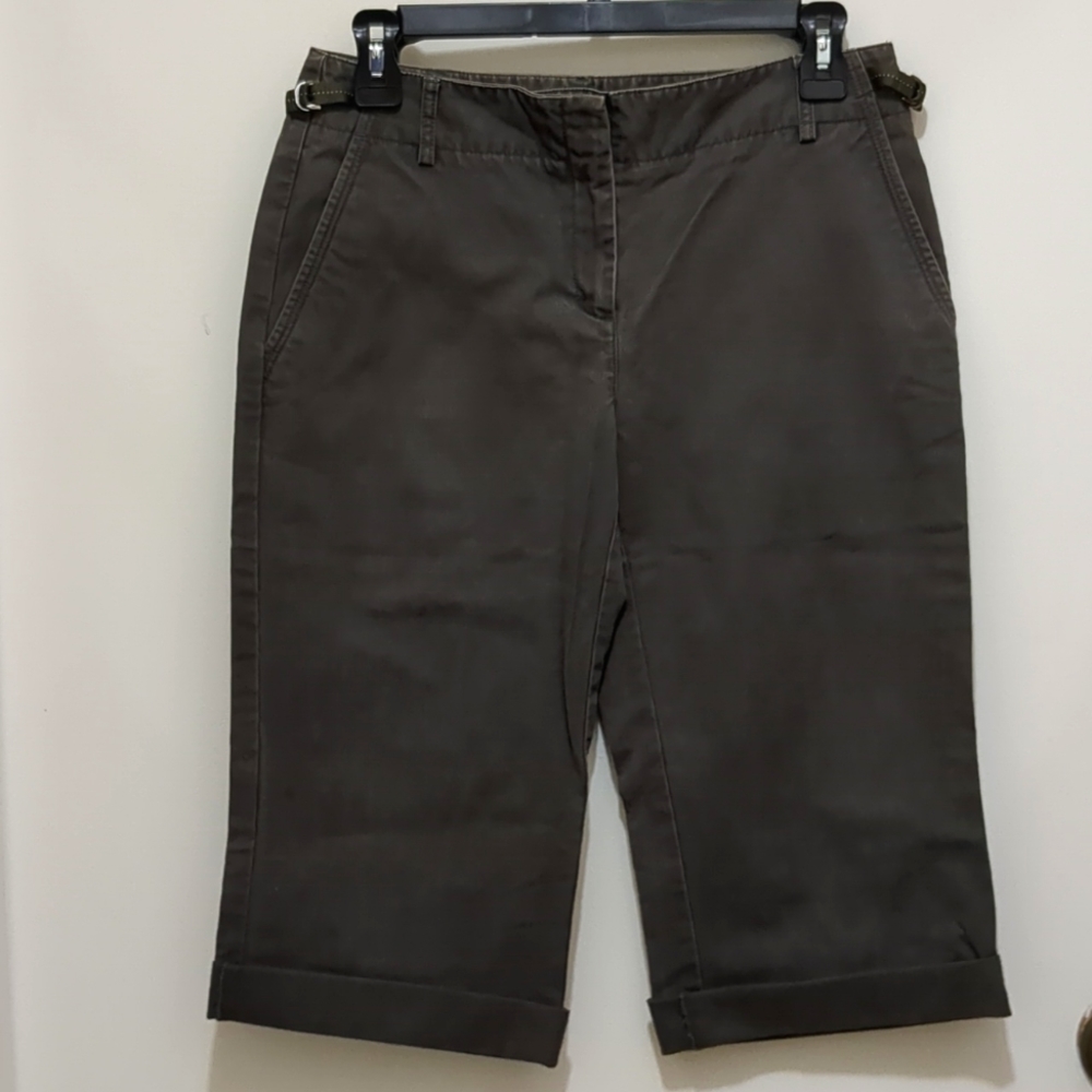 Ann Taylor Forest green Bermuda shorts Size 2, 100% cotton
